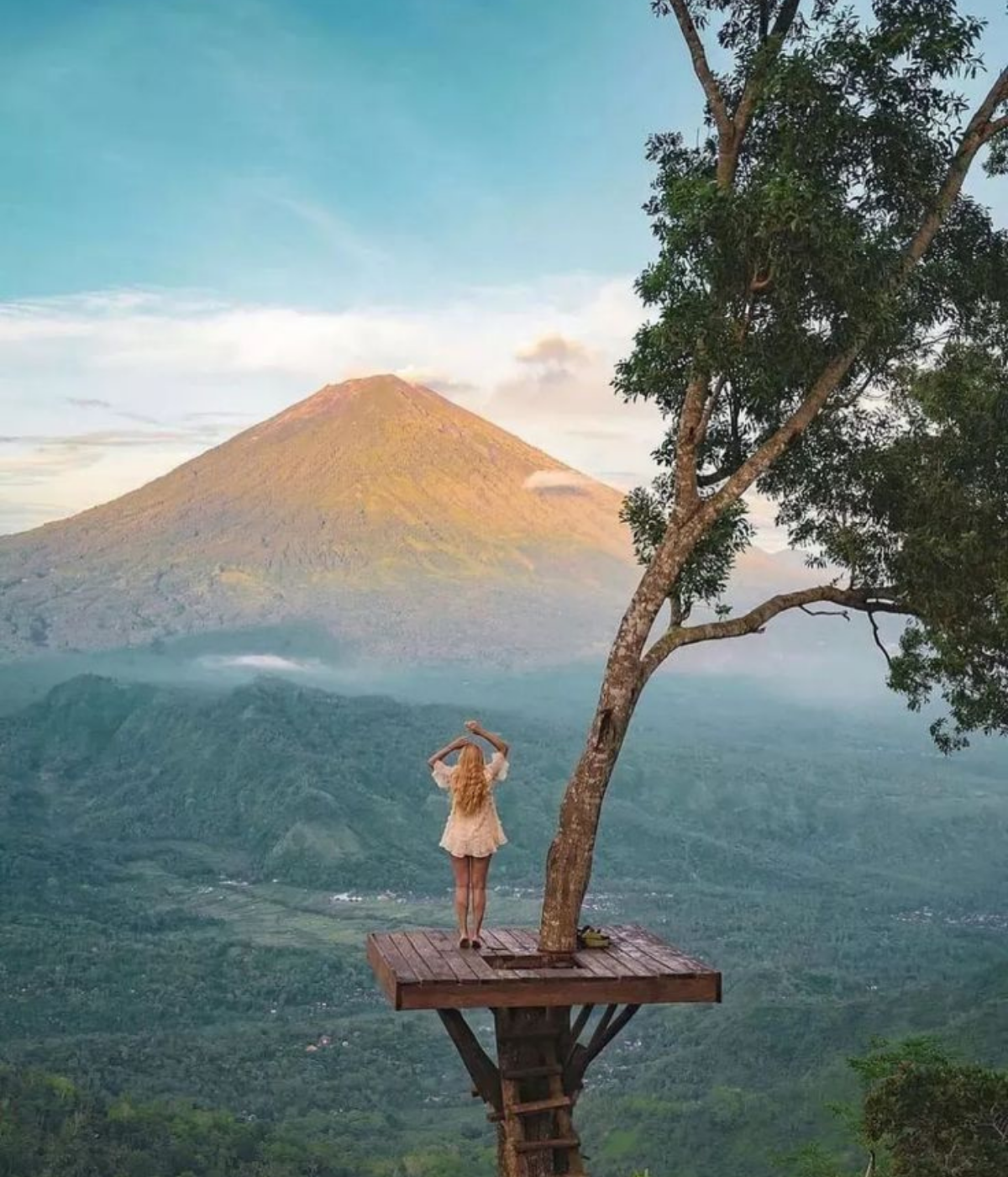 Untitled design - 2026-01-28T123309.621