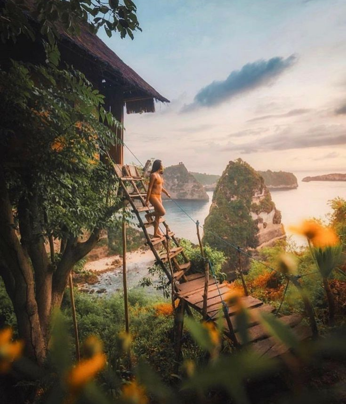 Untitled design - 2026-01-28T123318.441