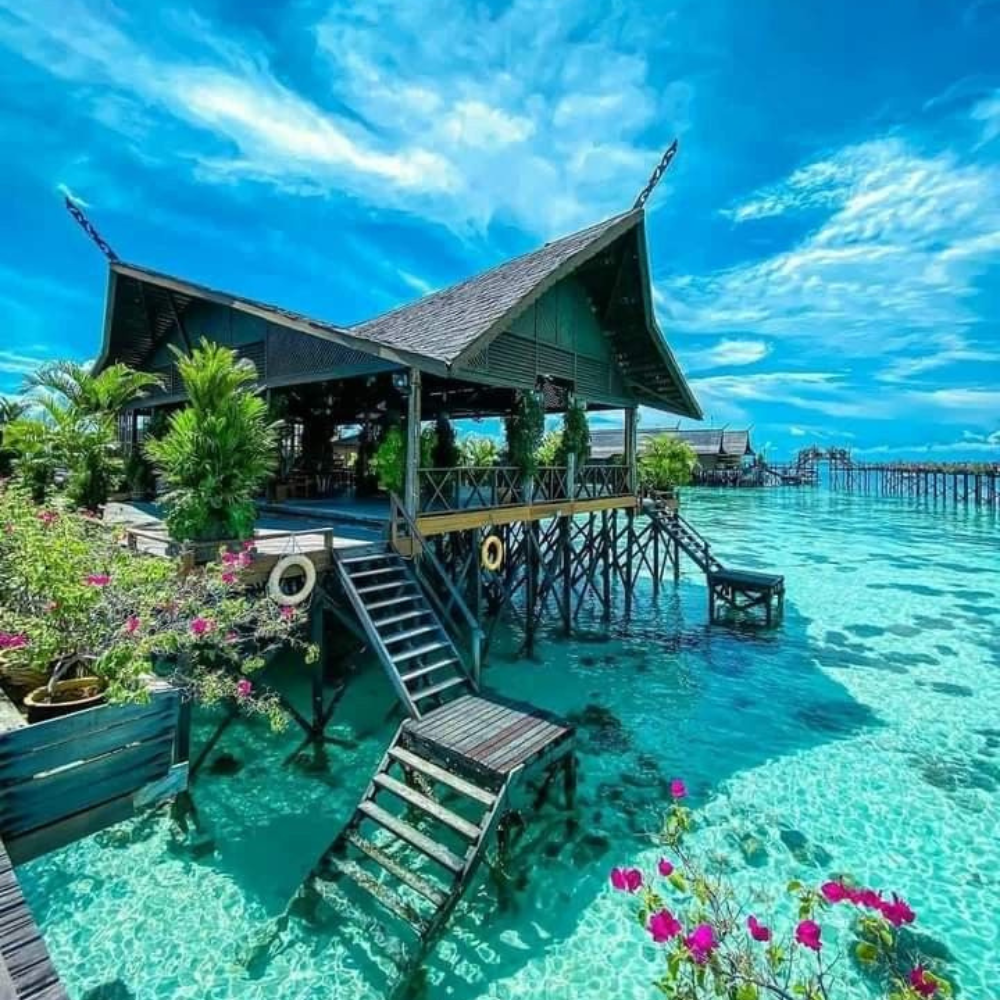 Untitled design - 2026-01-28T153645.636