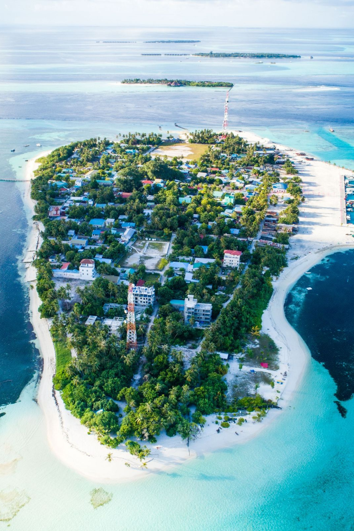 Untitled design - 2026-01-28T154033.550