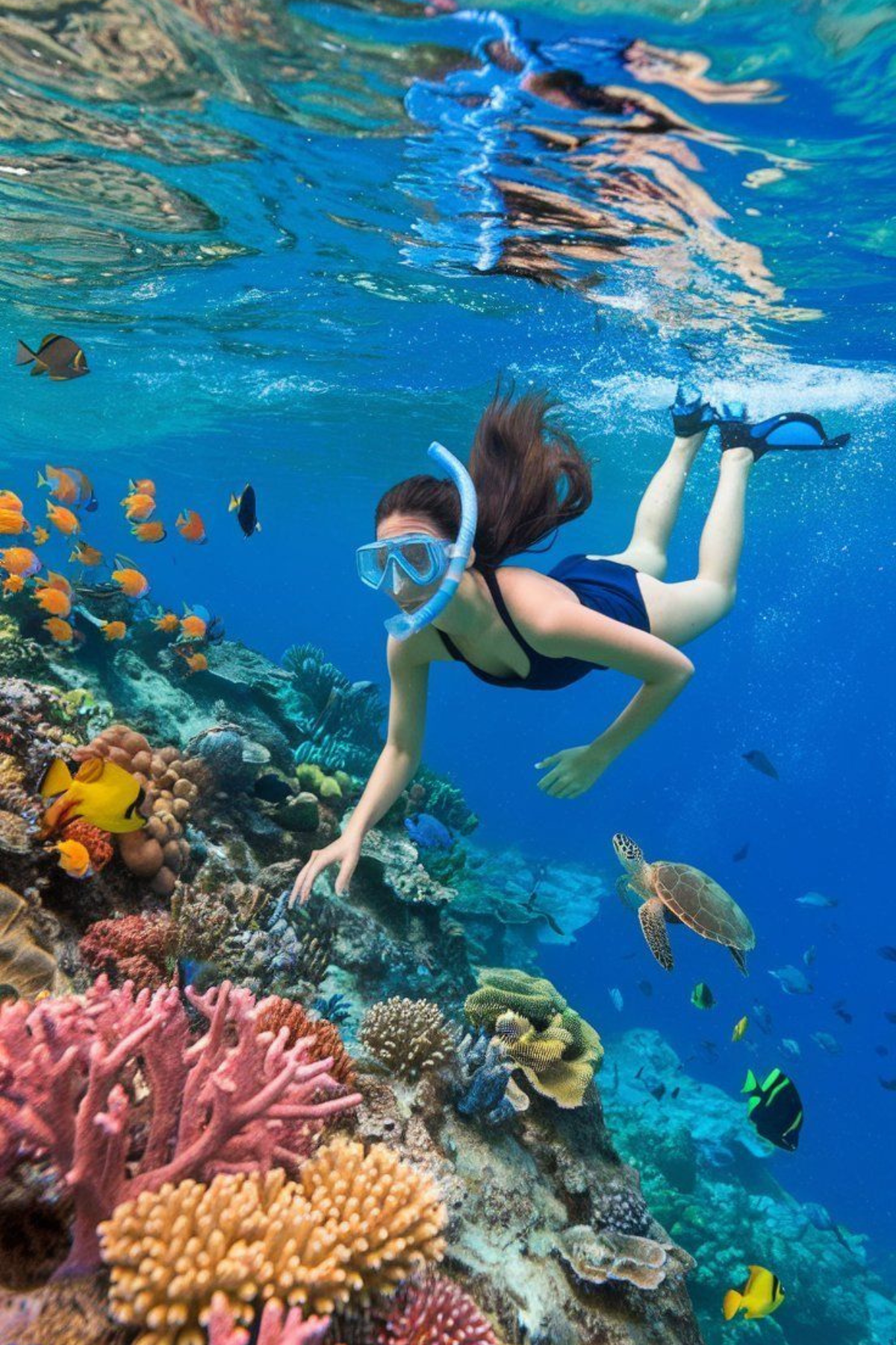 Untitled design - 2026-01-28T154042.521