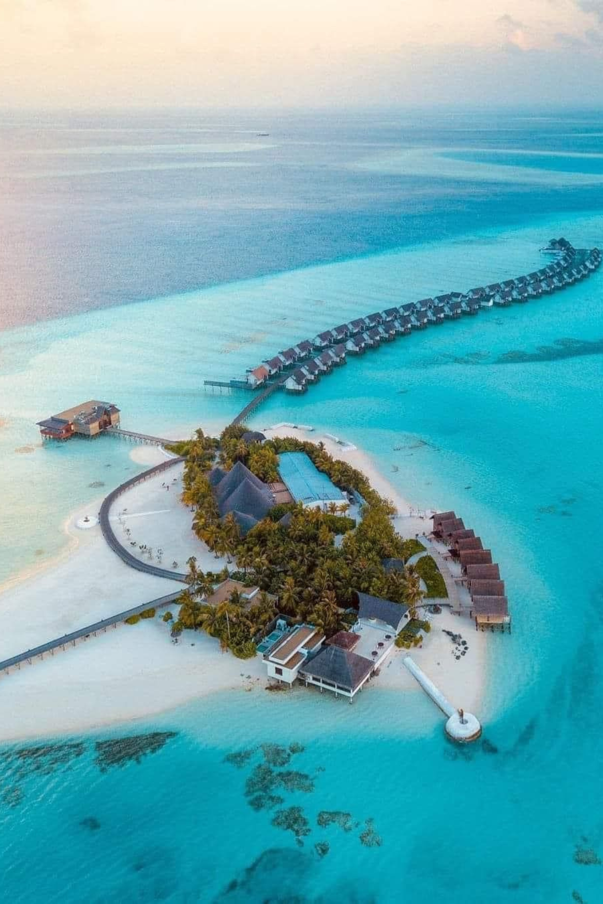 Untitled design - 2026-01-28T154048.584