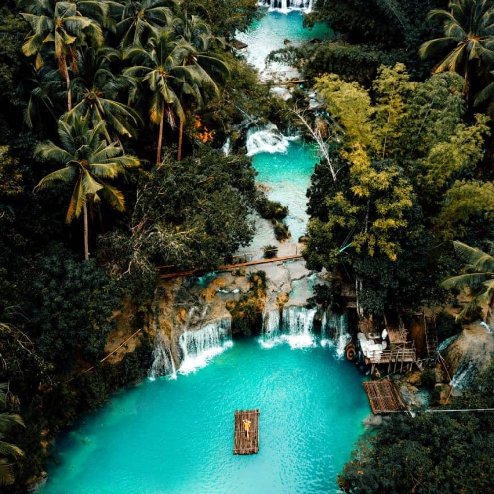 Untitled design - 2026-01-28T155456.227