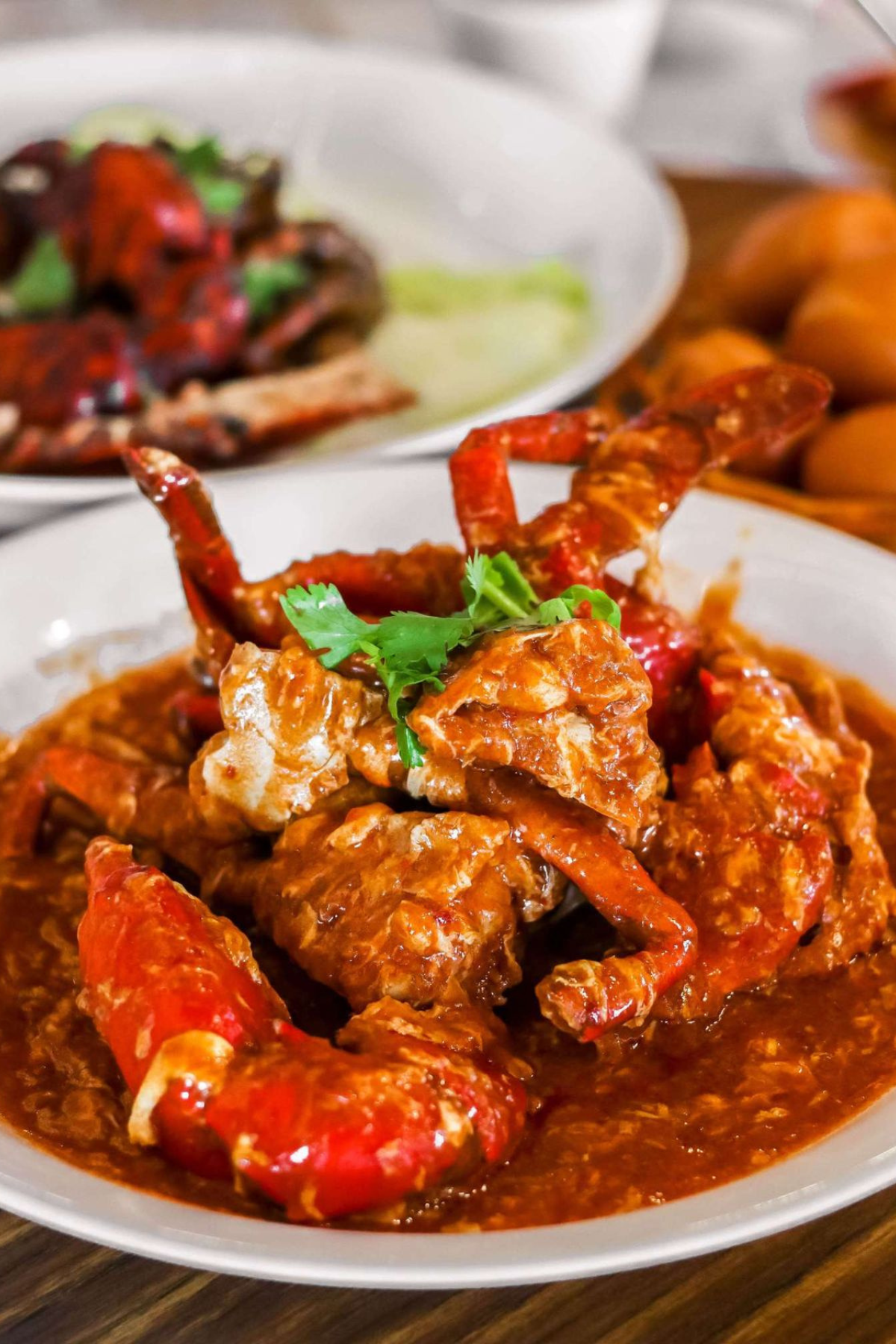 Untitled design - 2026-01-28T161442.475