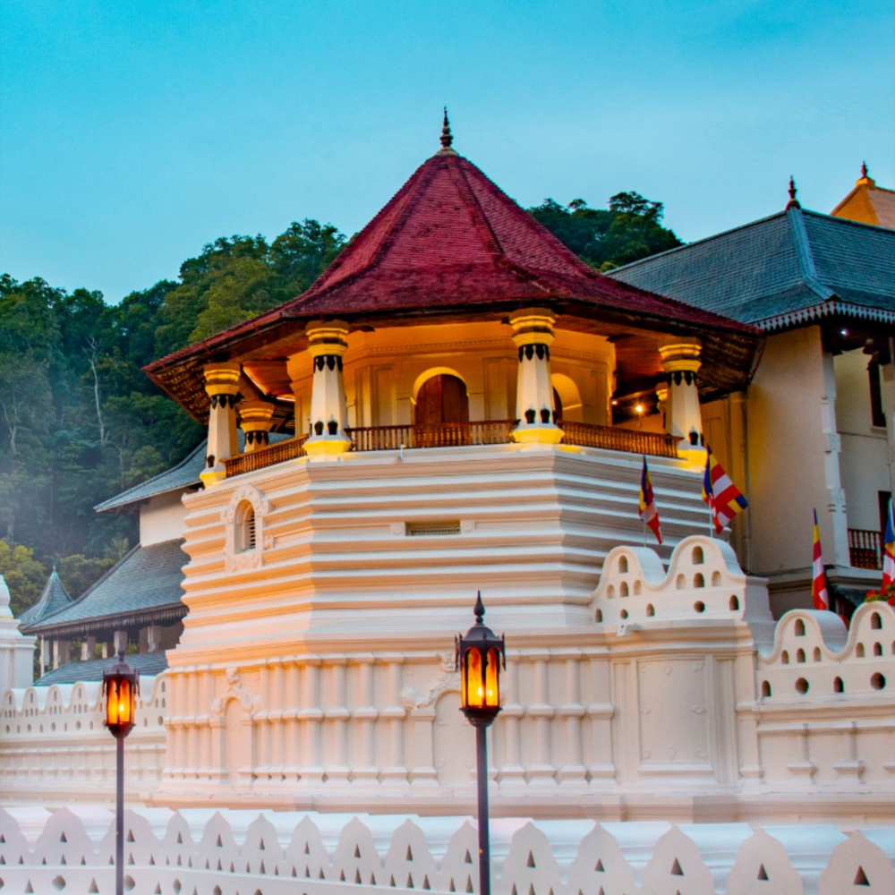 Untitled design - 2026-01-28T162757.223