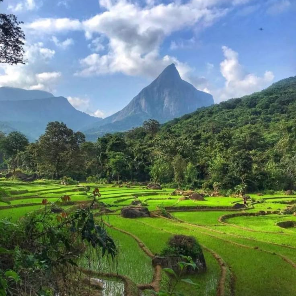 Untitled design - 2026-01-28T162801.494