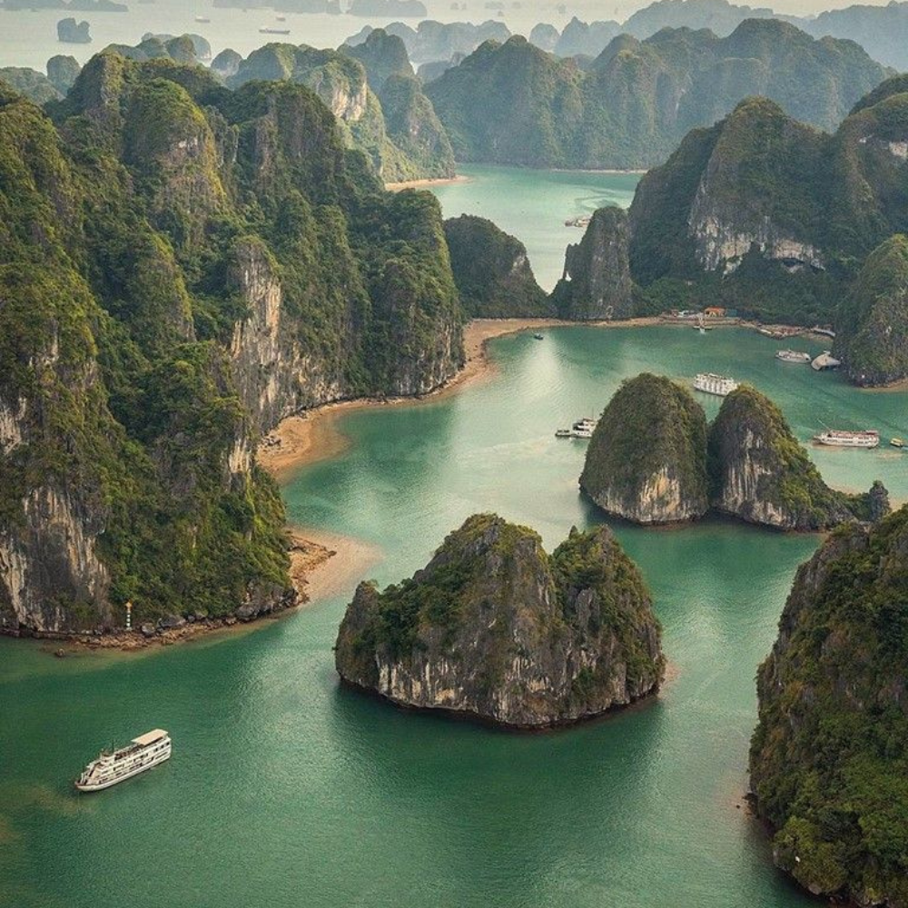 Untitled design - 2026-01-28T165452.776