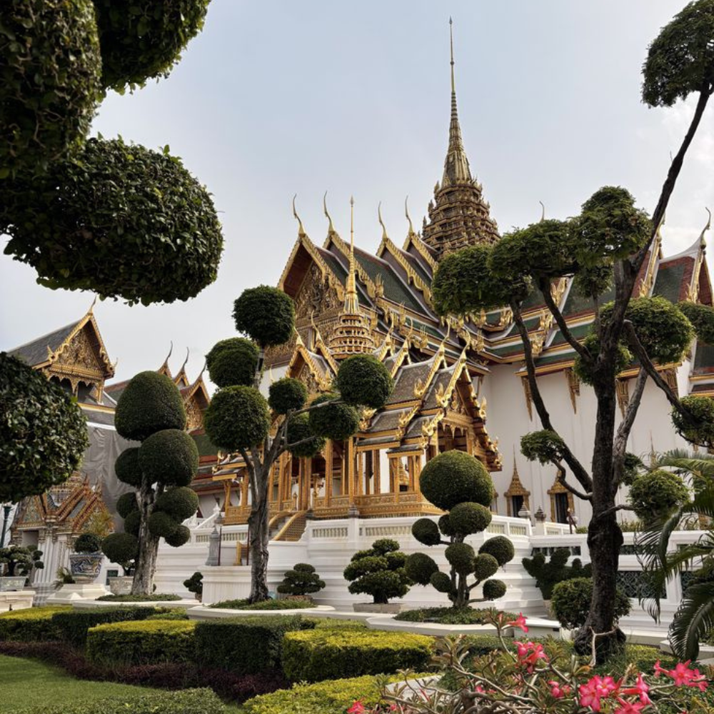 Untitled design - 2026-01-28T173628.845