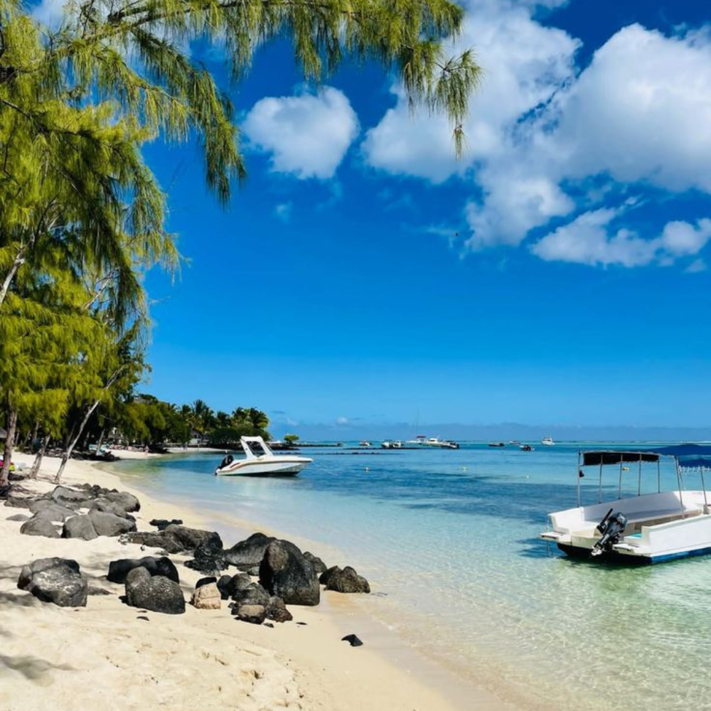 Untitled design - 2026-01-28T184147.723