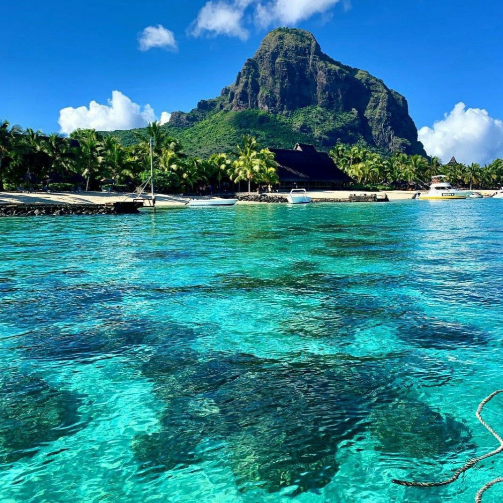 Untitled design - 2026-01-28T184152.379