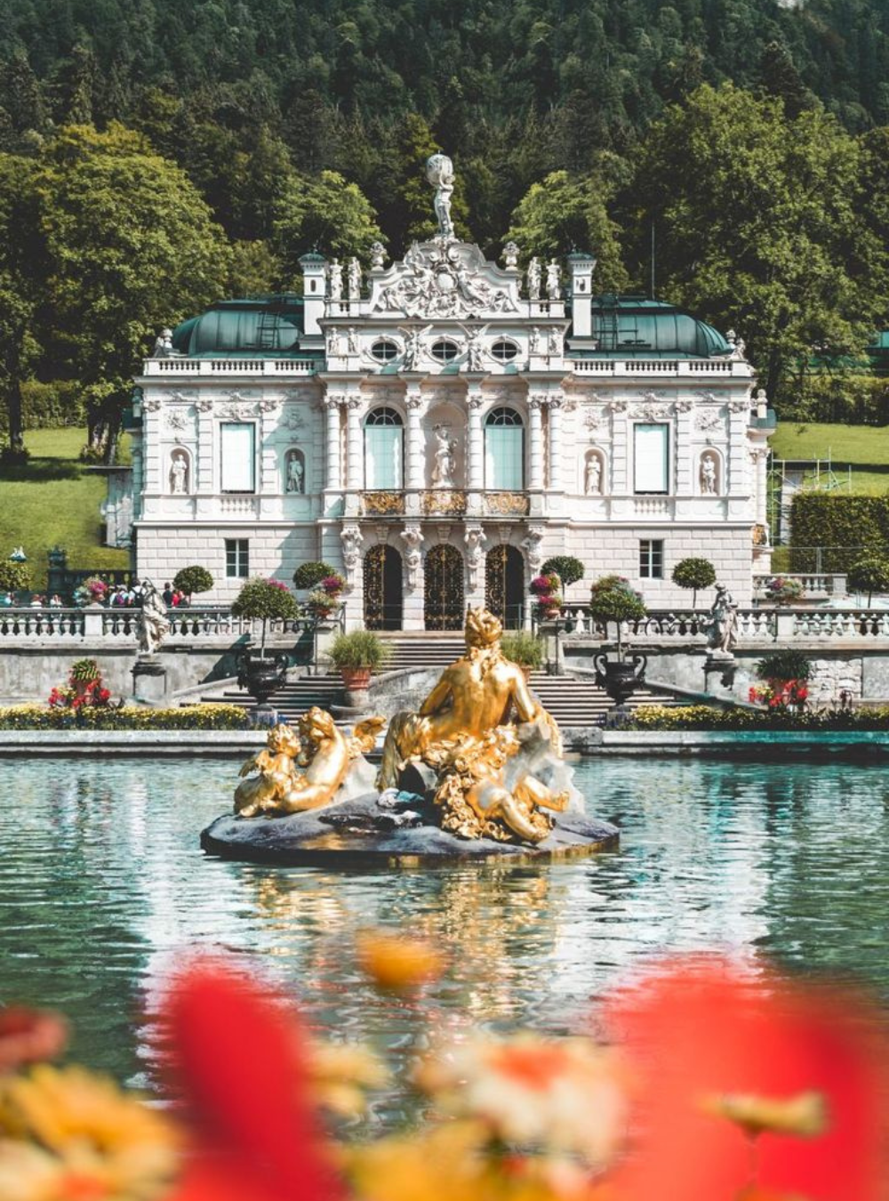 Untitled design - 2026-01-29T121244.451