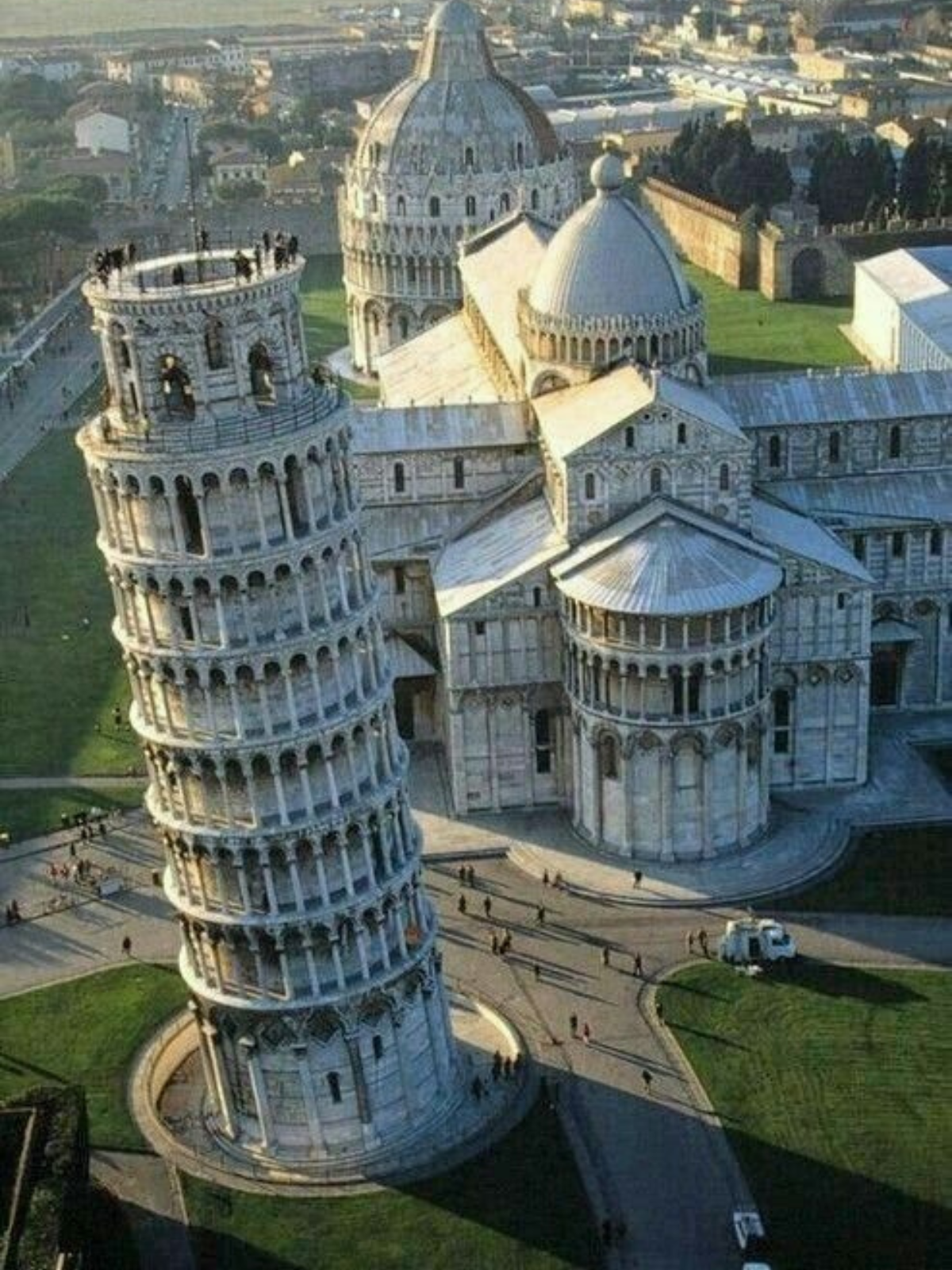 Untitled design - 2026-01-29T124116.813