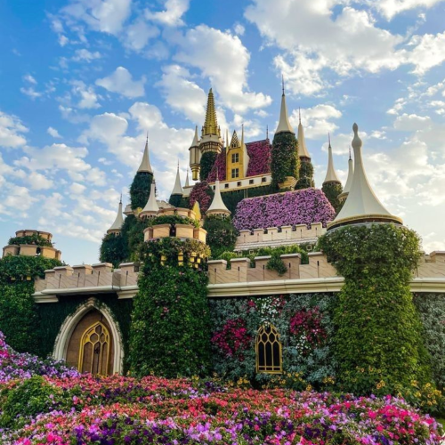 Untitled design - 2026-01-28T143534.544