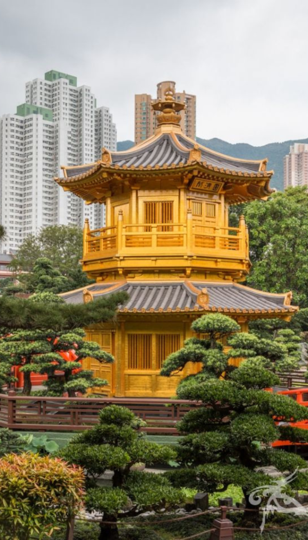 Untitled design - 2026-01-28T150011.025