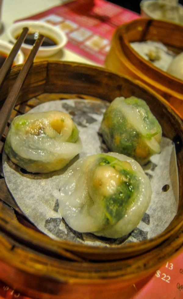 Untitled design - 2026-01-28T150712.135