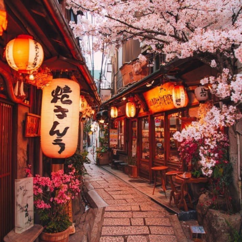 Untitled design - 2026-01-28T151323.682