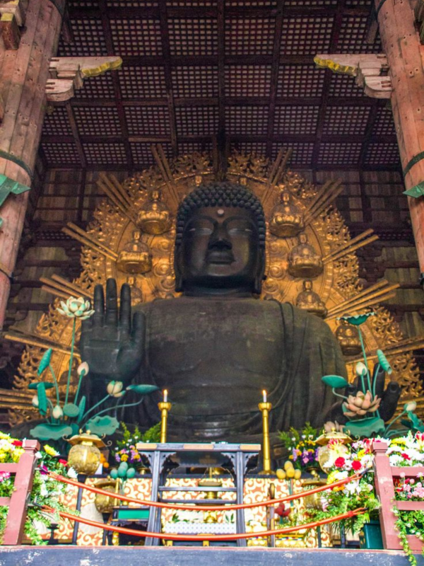 Untitled design - 2026-01-28T151644.330