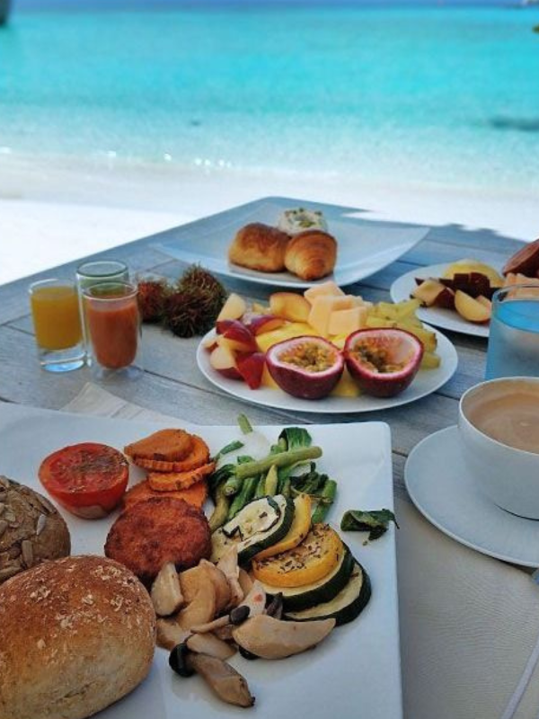 Untitled design - 2026-01-28T154442.241