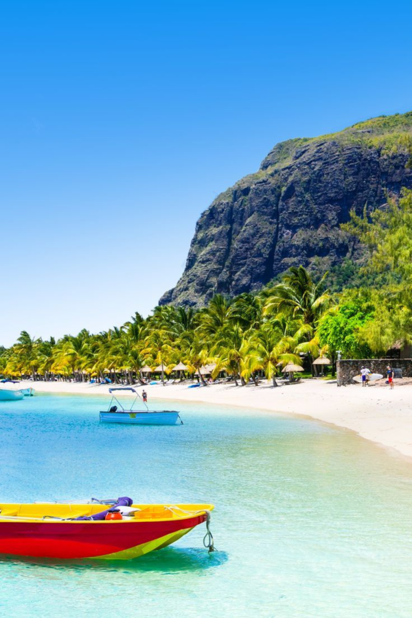 Untitled design - 2026-01-28T184810.433