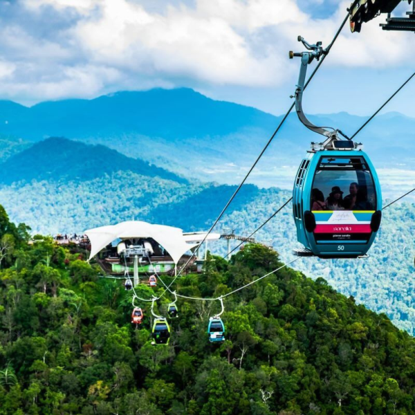 Untitled design - 2026-01-28T191154.480