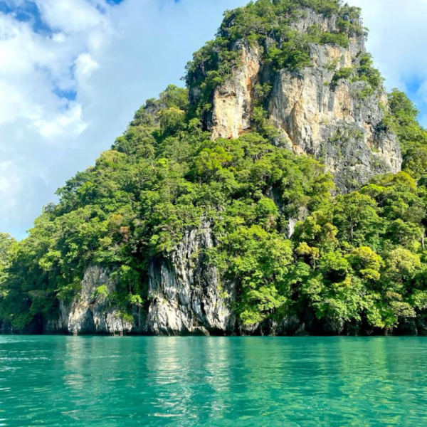 Untitled design - 2026-01-28T191203.307