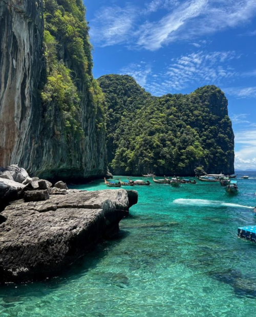 Untitled design - 2026-01-28T193400.781