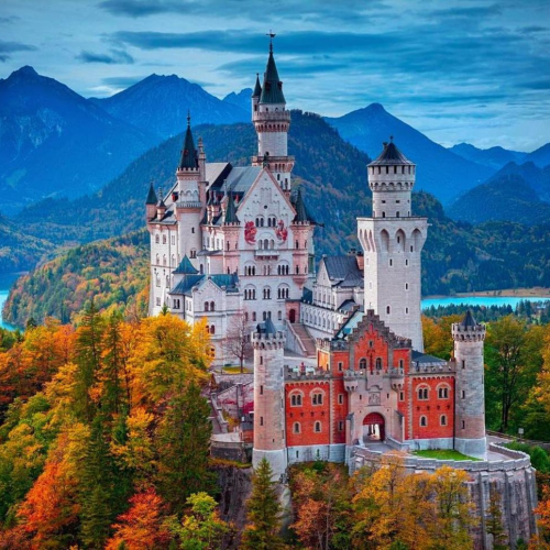 Untitled design - 2026-01-29T120539.556