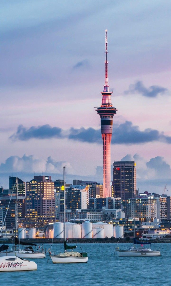 Untitled design - 2026-01-29T125428.062