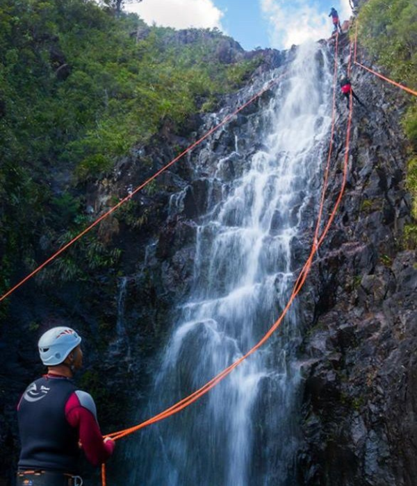 Untitled design - 2026-01-29T131139.181