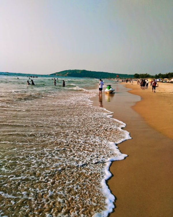 Untitled design - 2026-01-29T133233.867