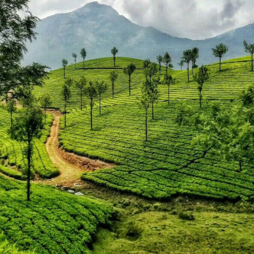 Untitled design - 2026-01-29T134029.566