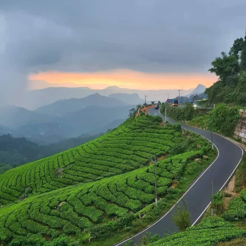 Untitled design - 2026-01-29T134037.773