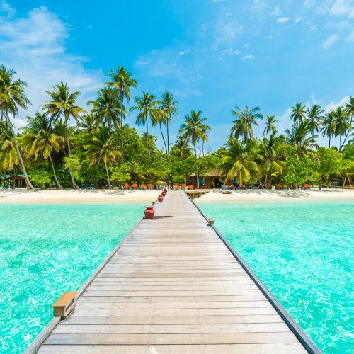 goa goa
