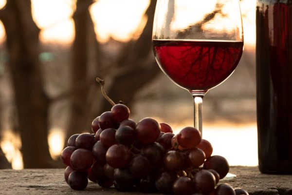 set-bottle-wine-glass-nature_23-2148261691