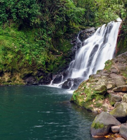 waterfall-cascada-de-texolo-xico-mexico_181624-11871